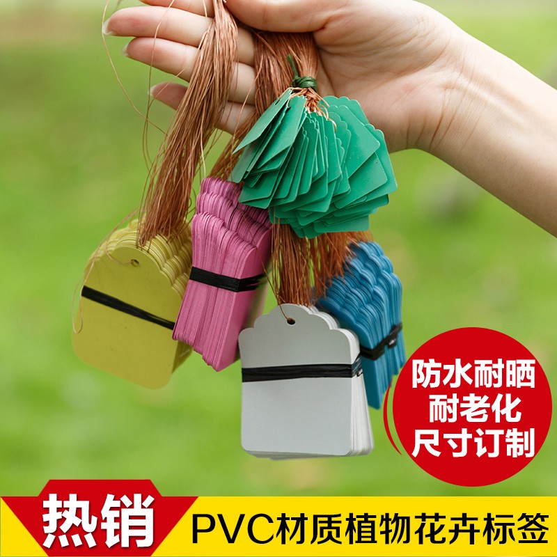 PVC彩色塑料植物吊签牌花卉园艺盆栽小挂牌苗木吊牌多肉月季标签