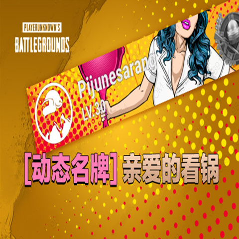 PUBG绝地求生吃鸡动态名牌亲爱的看锅ID卡名片皮肤CDK兑换码端游