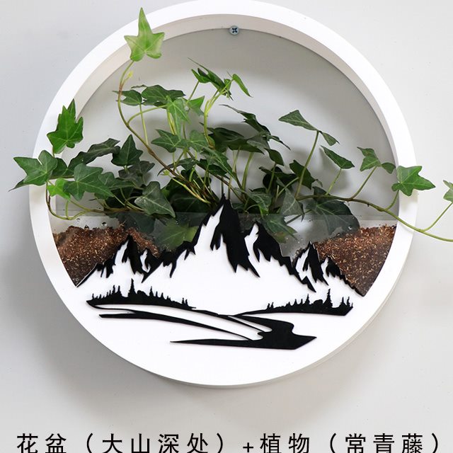 创意圆形挂墙真花架家居植物墙挂件客厅墙面装饰上壁挂花盆挂壁