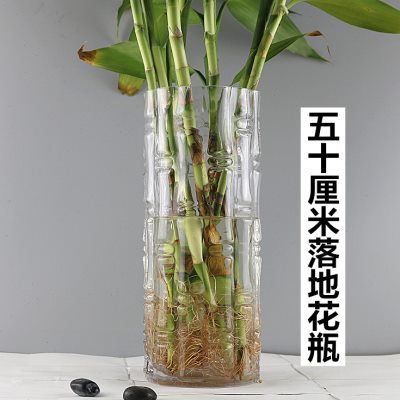 特大号直筒花瓶玻璃透明高50cm插花大号客厅摆件水培富贵竹落地