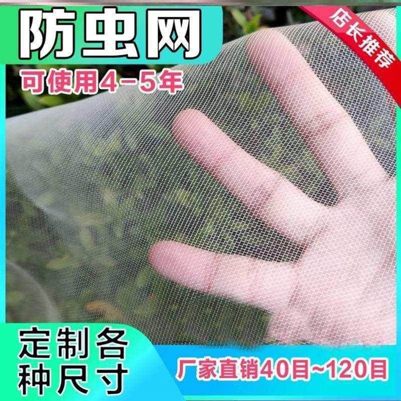 猪厂用防蚊蝇网农业纱窗帘定做防蚊子蚊虫柿子简易春夏窗纱网家用