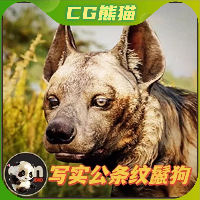 UE4虚幻5 Animalia - Striped Hyena (male) 鬣狗角色带动画