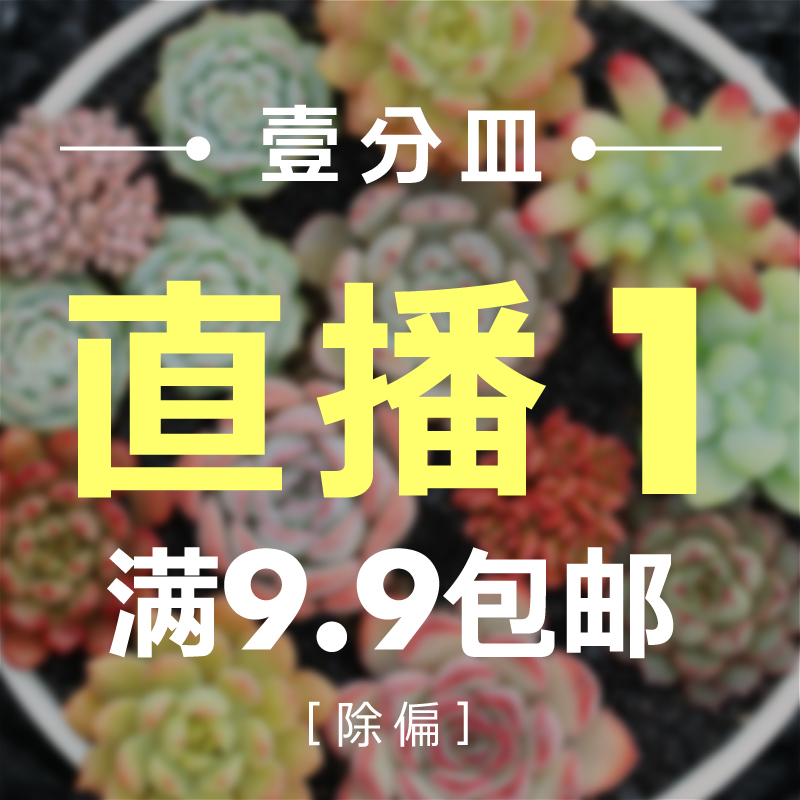 直播1 多肉植物组合 一物一拍 含盆带土种好发货满9.9包邮除偏远