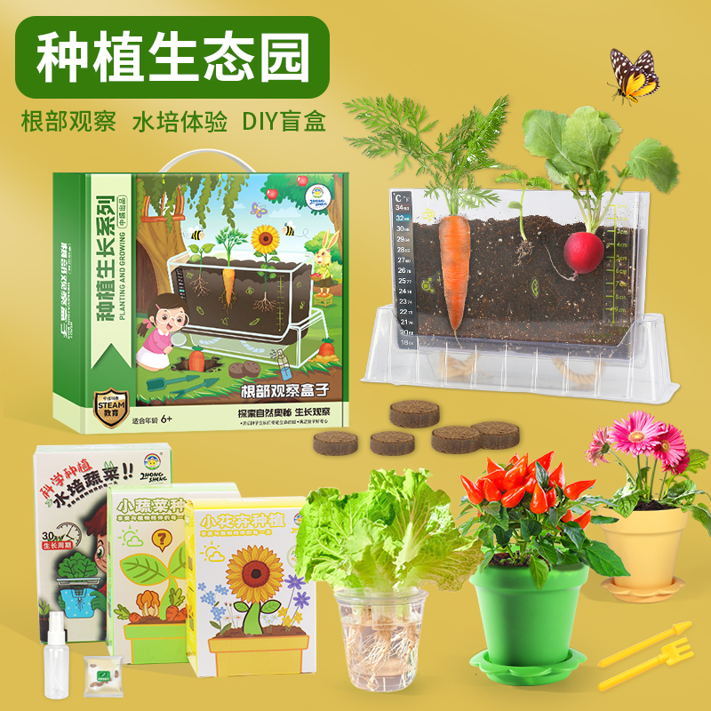 阳光房种植儿童种植小盆栽蔬菜水果盲盒植物观察水培生菜幼儿园