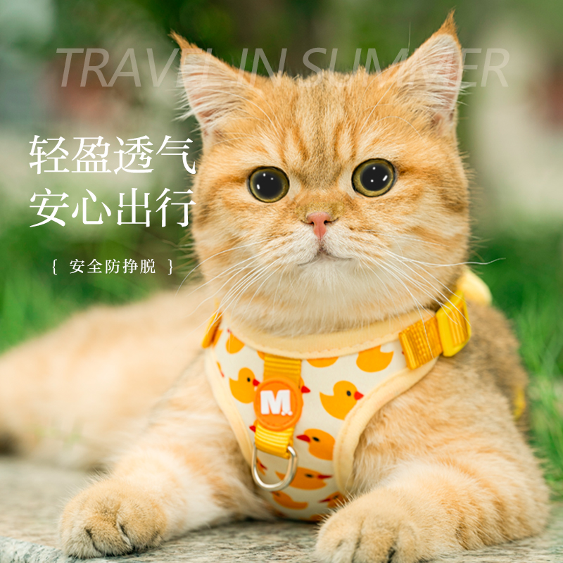 猫牵引绳高颜值防挣脱外出专用猫咪幼猫布偶猫猫绳子可调节遛猫绳