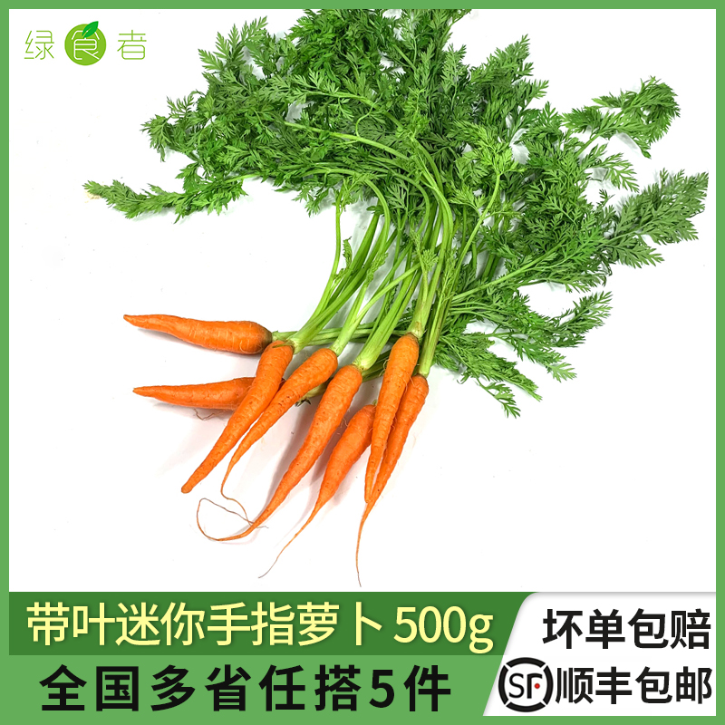 绿食者 带叶手指胡萝卜500g 新鲜蔬菜迷你水果胡萝卜色拉沙拉食材