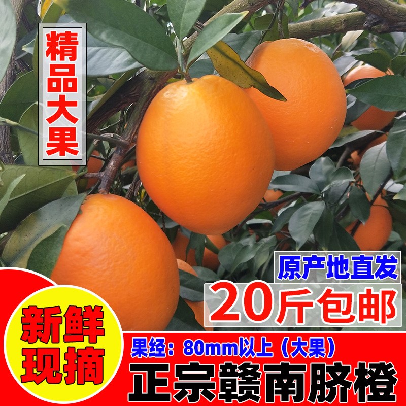 2024正宗江西赣州赣南脐橙新鲜孕妇特大果旗舰店20斤装产地直发