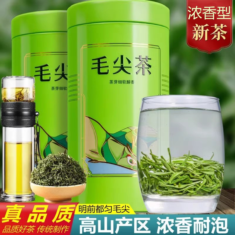 毛尖茶叶2024新茶绿茶明前嫩芽叶浓香型散装高山日照春茶250g罐装