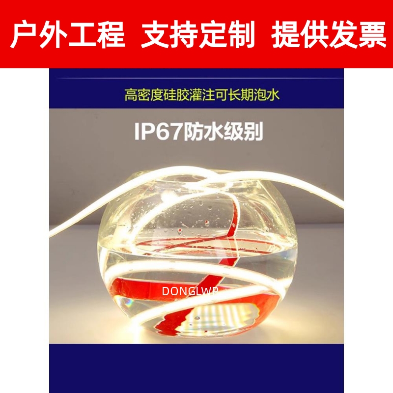 水下COB硅胶灯带24Vled户外防水IP68灌胶无光斑柔性线性灯条泳。