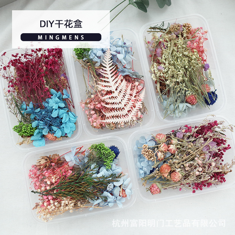 DIY干花盒永生花材包手工花艺相框材料包真花风干天然ins装饰摆件