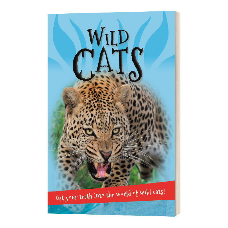 It's all about... Wild Cats 关于猫 关于动物系列 英文原版儿童百科科普读物 进口英语书籍