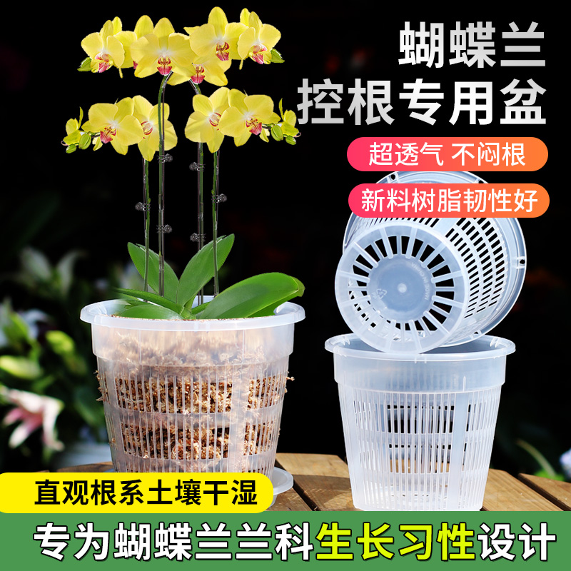 透明蝴蝶兰专用花盆兰花水苔控根盆塑料镂空防烂家用阳台2024新款