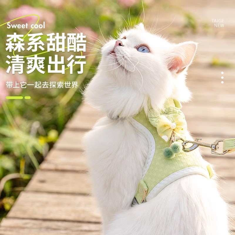 兔子牵引绳狗狗猫咪小型犬衣服胸背带背心式卡通熊小型宠物外出绳