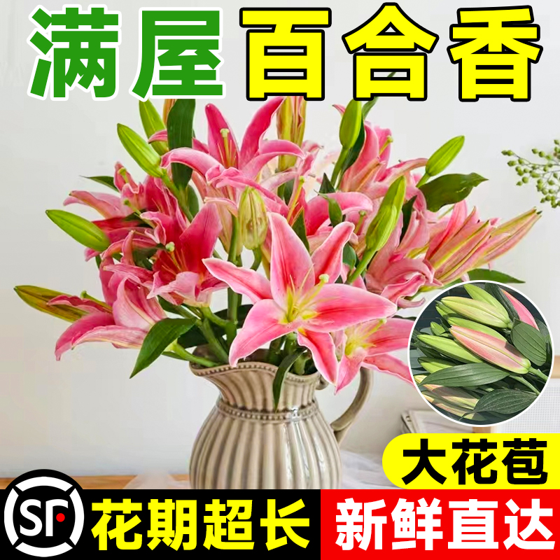 香水百合鲜花云南基地直发水培多头鲜切花花束插花插瓶多重瓣花卉