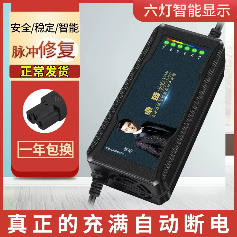 电动车电瓶充电器48V12AH60V20AH72V爱玛雅迪台铃小刀铅酸电池