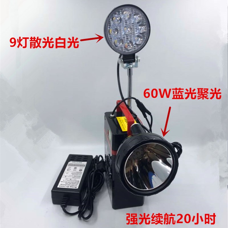 鸿顺户外超亮钓鱼12V7AH20AH锂电池充电30W60W蓝光黄白光夜钓灯头