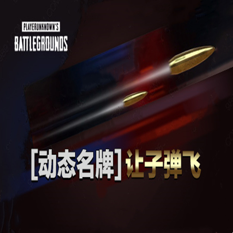 PUBG绝地求生吃鸡名片让子弹飞皮肤CDK兑换码动态名牌ID卡端游